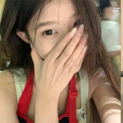 飞盘犬