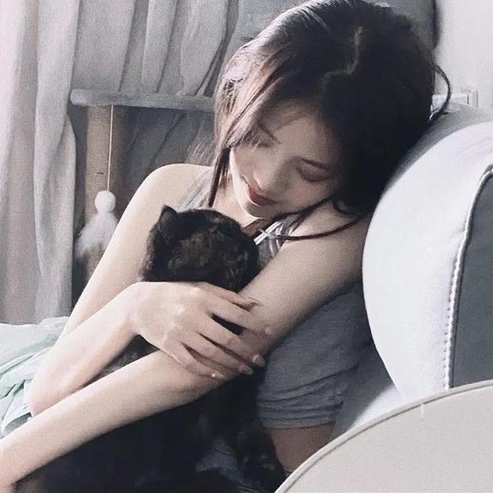 我的彩虹拼凑家庭